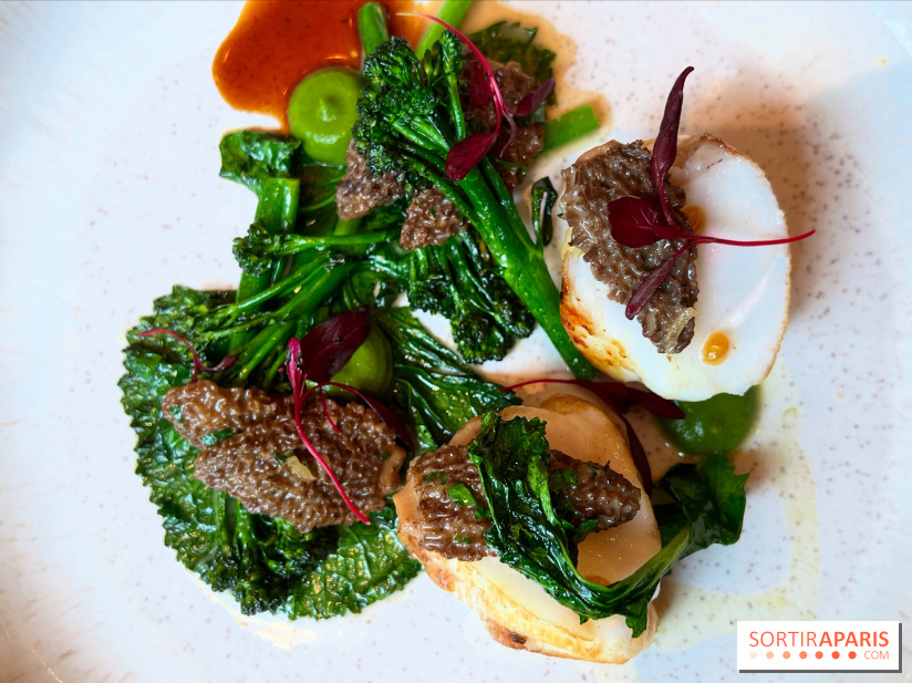 Colvert - Lotte au binchotan, morilles