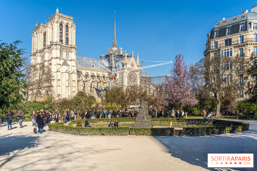 Le Square Viviani devant Notre-Dame de Paris