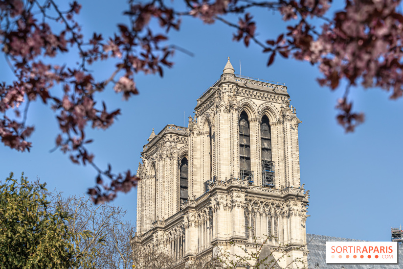 Le Square Viviani devant Notre-Dame de Paris