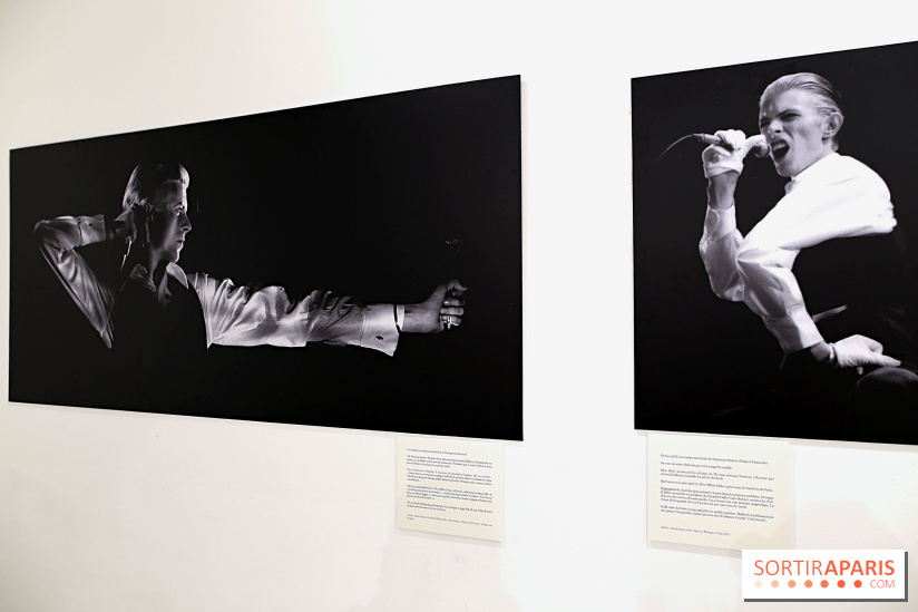 David Bowie, Mr Jones’ Long Hair, nos photos de l'expo à Paris - Expo Bowie 11