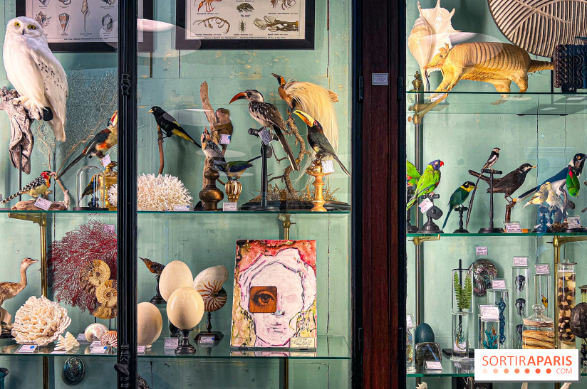 L'exposition gratuite des œuvres de Johnny Depp dans un cabinet de curiosités parisien - image00048