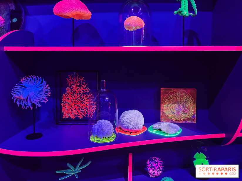 Digital Abysses au musée en Herbe - nos photos - E6BCA310 565F 4759 9D61 097FAD60F57B