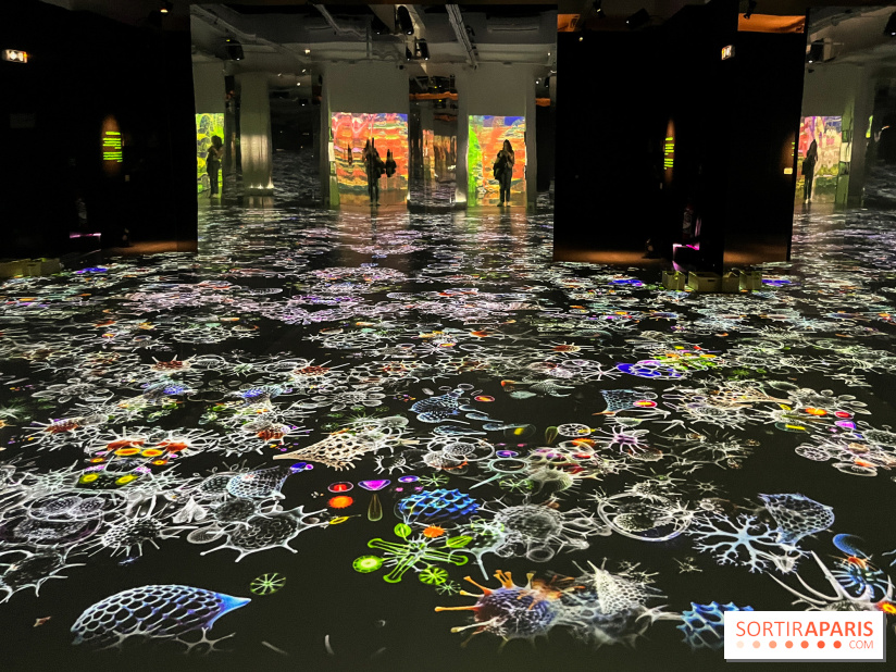 Digital Abysses au musée en Herbe - nos photos - 8D354893 F90B 490E A9BD 4ECA4B0114C8