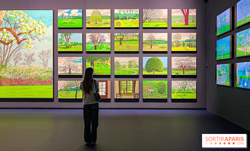 David Hockney : la plus grande exposition retrospective de l'artiste à la Fondation Louis Vuitton - IMG 8663 jpg