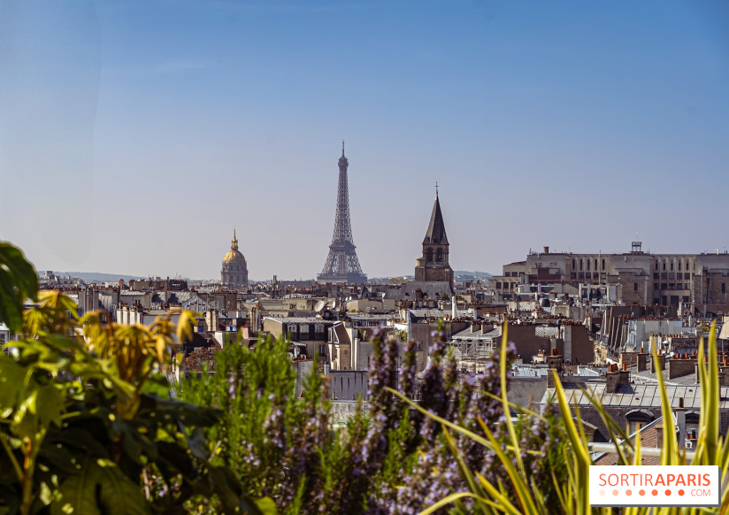 Rooftop de Dame des Arts, la terrasse panoramique sur les toits de Paris - photos