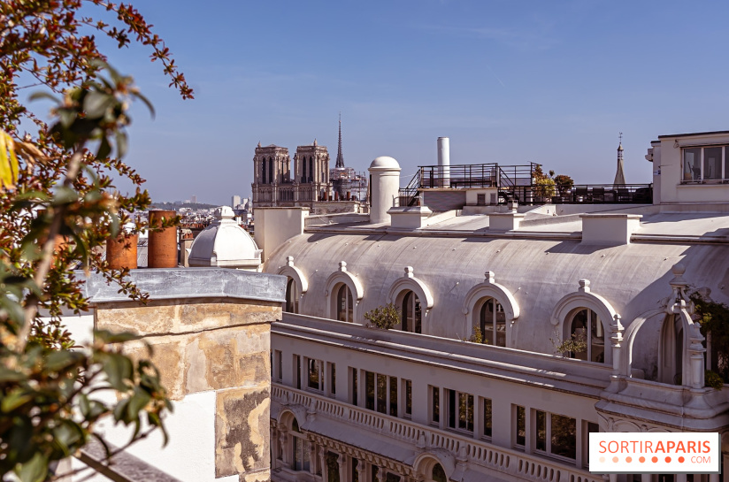 Rooftop de Dame des Arts, la terrasse panoramique sur les toits de Paris - photos - A7C06287