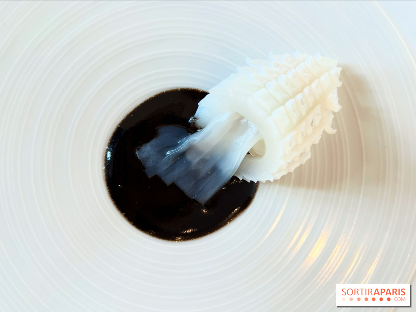 Le Pergolèse - Encornet, encre de seiche