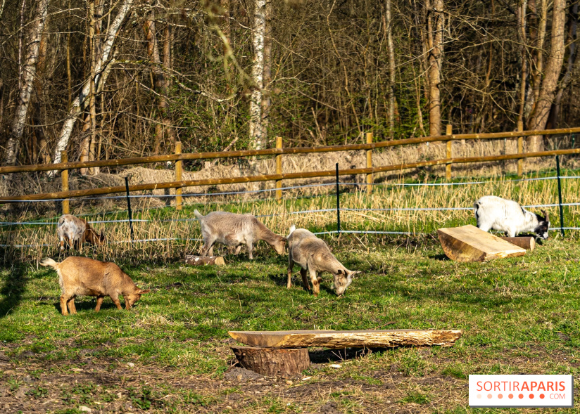La Ferme de l’Abbaye des Vaux de Cernay : l'hôtel de charme en pleine nature dans les Yvelines - photos