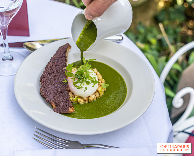 Terrasse de l'Hôtel Particulier, le jardin verdoyant au cœur de Montmartre - photo - A7C06420