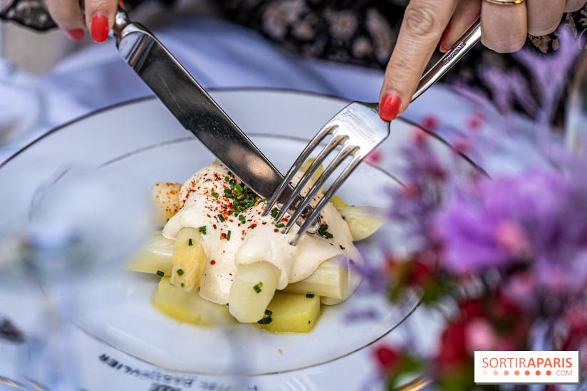 Terrasse de l'Hôtel Particulier, le jardin verdoyant au cœur de Montmartre - photo - A7C06425