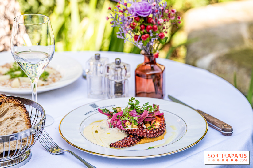 Terrasse de l'Hôtel Particulier, le jardin verdoyant au cœur de Montmartre - photo