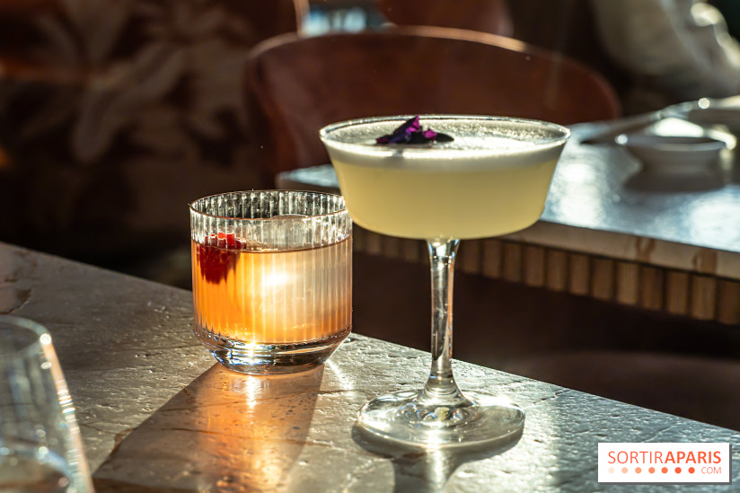 Kinugawa Rive Gauche à Paris, le restaurant en rooftop de l'Hôtel Sax - photos