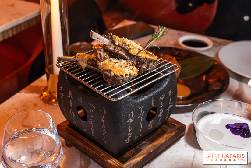 Kinugawa Rive Gauche à Paris, le restaurant en rooftop de l'Hôtel Sax - photos