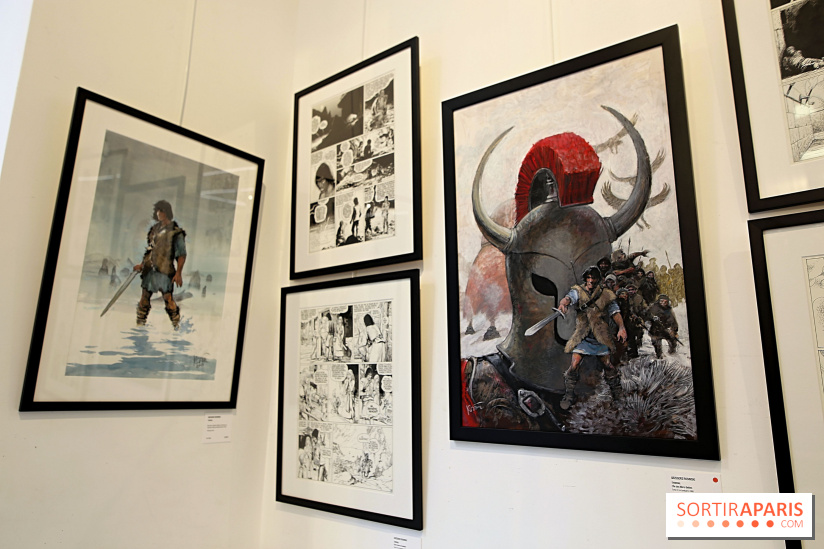 Rétrospective Grzegorz Rosinski, nos photos de l'expo gratuite à Paris - Expo Thorgal 14 fotor 2025042512840