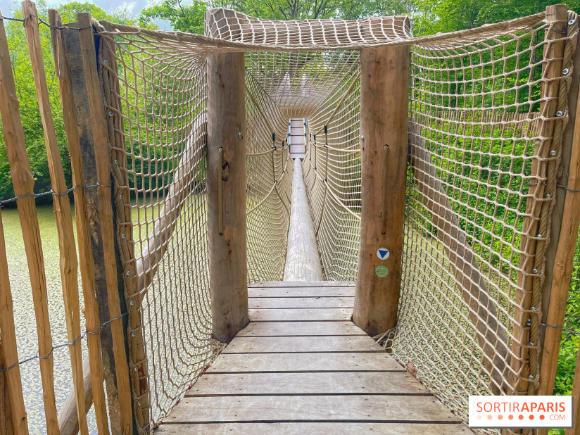 Mission Forêt - IMG 2142