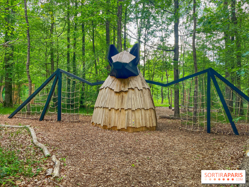 Mission Forêt - IMG 2152