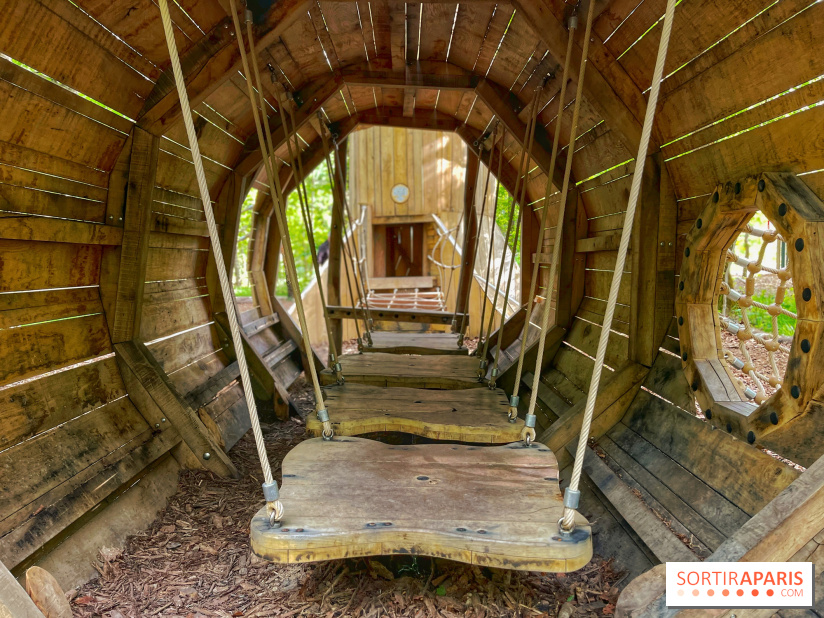 Mission Forêt - IMG 2154