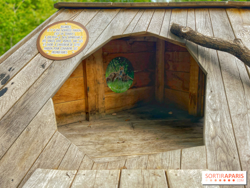 Mission Forêt - IMG 2156