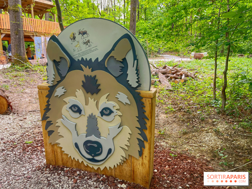 La Forêt des Loups - IMG 2086