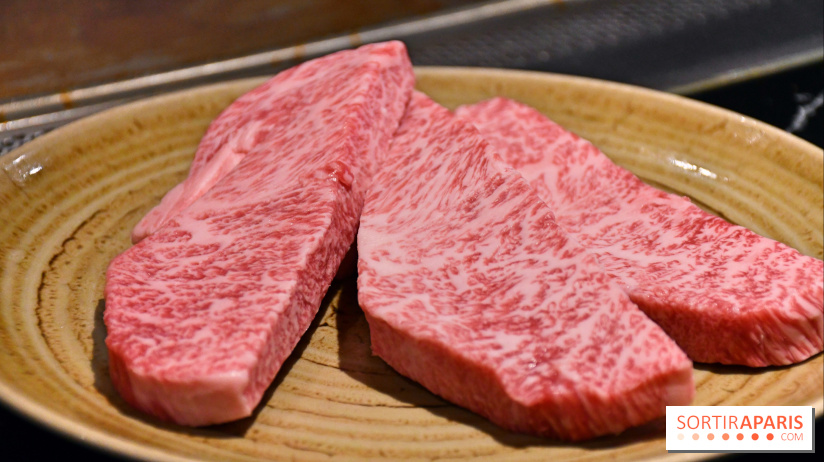 Ayako Paris, le restaurant pour les amoureux du Teppanyaki - DSC 3950 Fotor