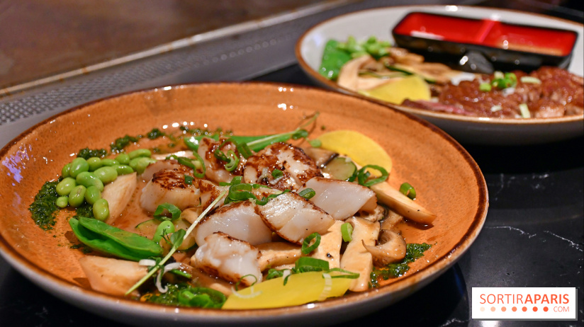 Ayako Paris, le restaurant pour les amoureux du Teppanyaki - DSC 4003 Fotor