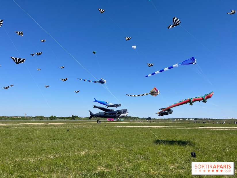 Festival de Cerfs-Volants à la Base 217 - IMG 2190