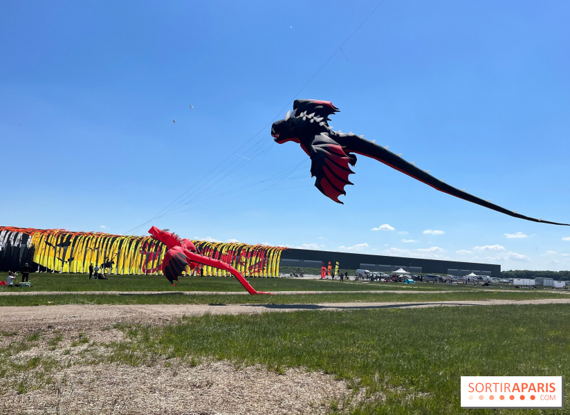 Festival de Cerfs-Volants à la Base 217 - IMG 2209