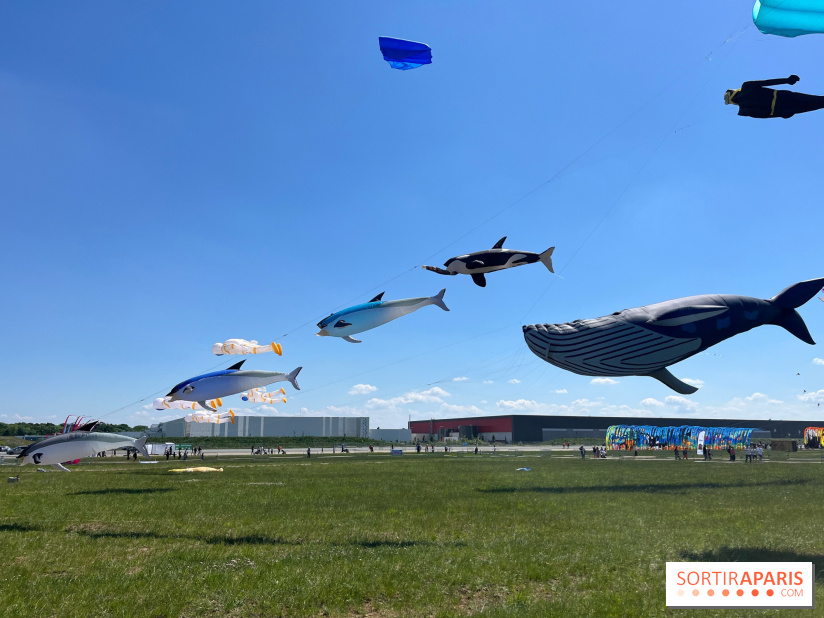 Festival de Cerfs-Volants à la Base 217