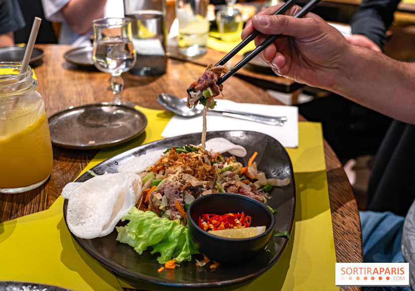 Comme au Vietnam, restaurant vietnamien Paris 13e - salade de boeuf