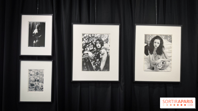 La Bête Humaine : Salon de tatouage - IMG 4891 jpg