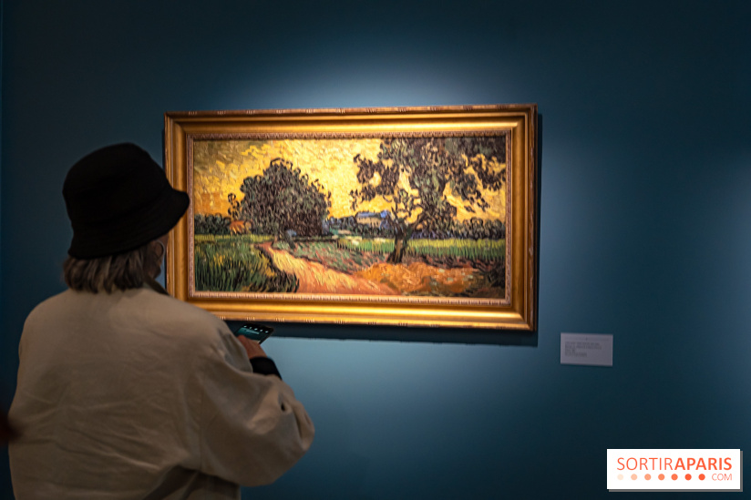 Exposition Van Gogh, les derniers voyages - photos