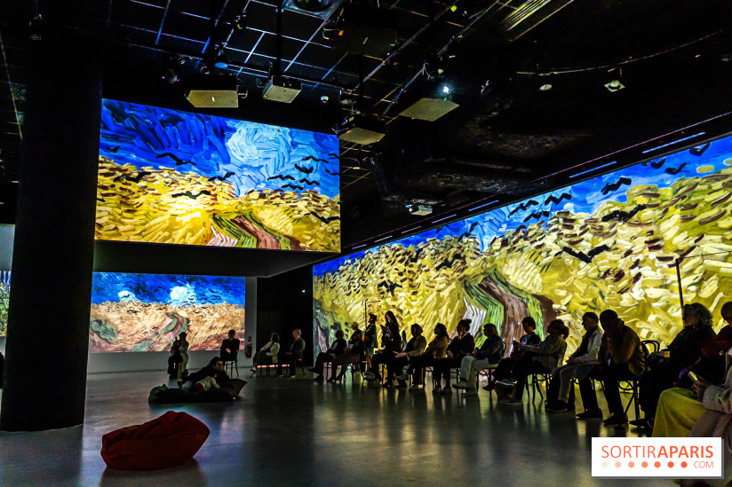 Exposition Van Gogh, les derniers voyages - photos