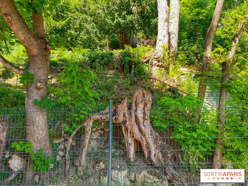 Encore plus d'Auvers-sur-Oise - IMG 2399