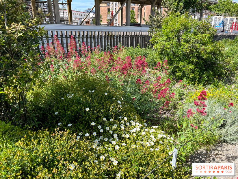 Jardin Anna Marly - nos photos