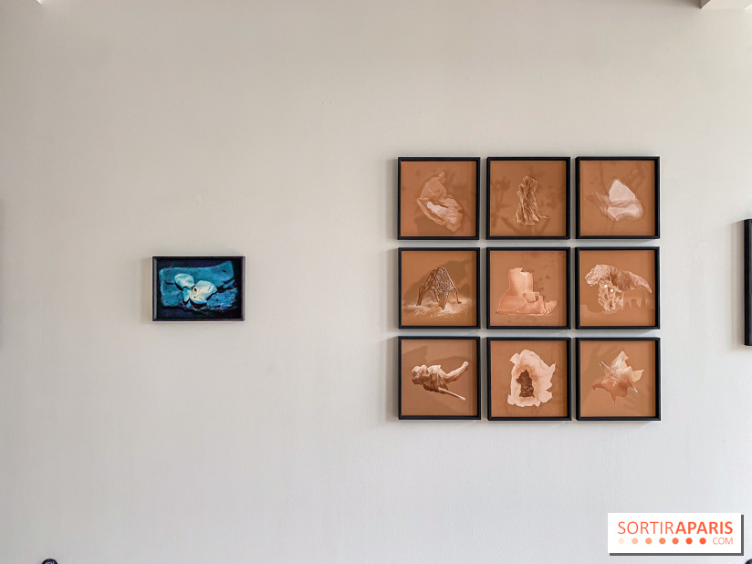 Exposition de Fred Atlan à la galerie Rachel Hardouin : au creux de mes paupières