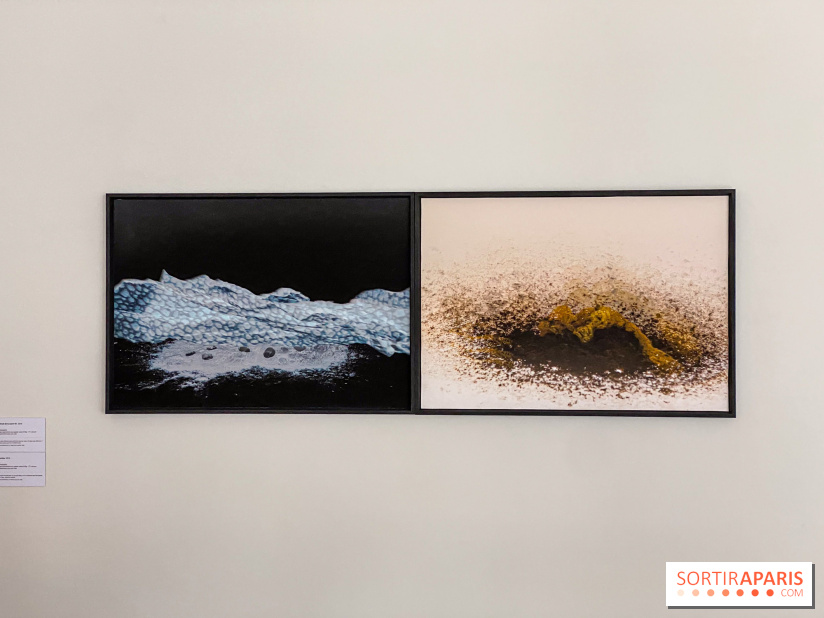 Exposition de Fred Atlan à la galerie Rachel Hardouin : au creux de mes paupières