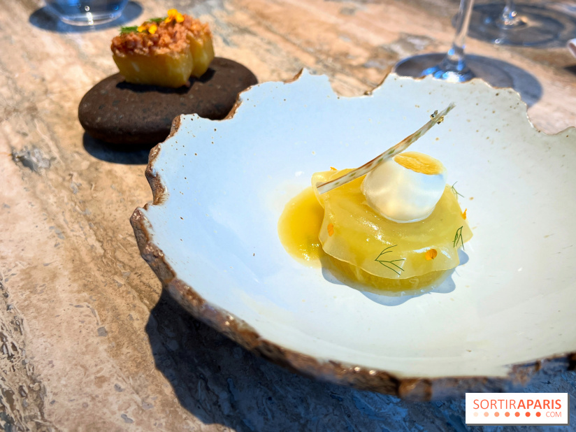 Restaurant Alan Geaam - L'Ananas Victoria Arak, fenouil, pignon de pain