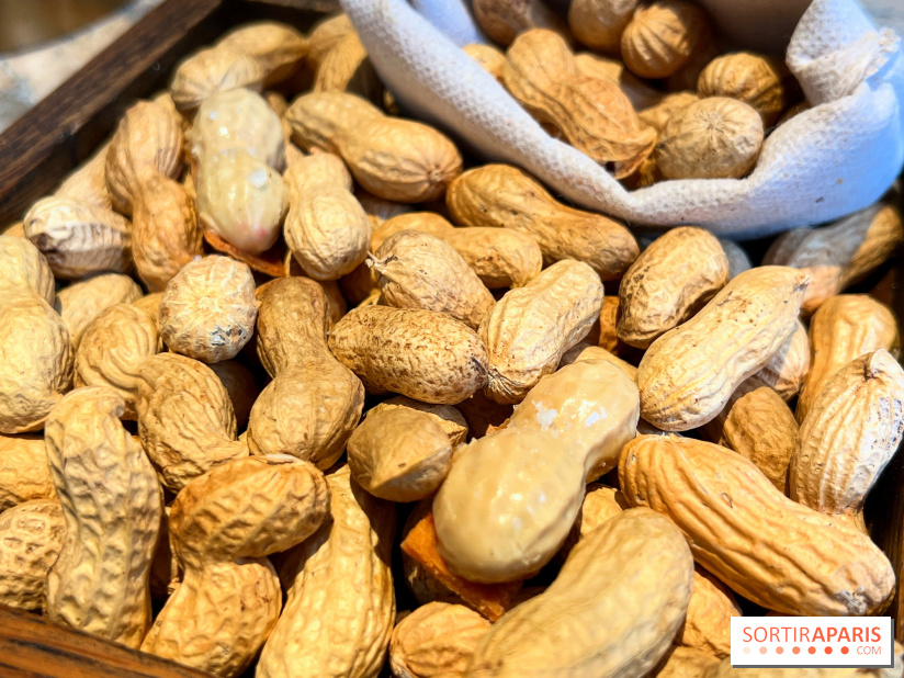 Restaurant Alan Geaam - Cacahuète au foie gras, combava, piment de cayenne