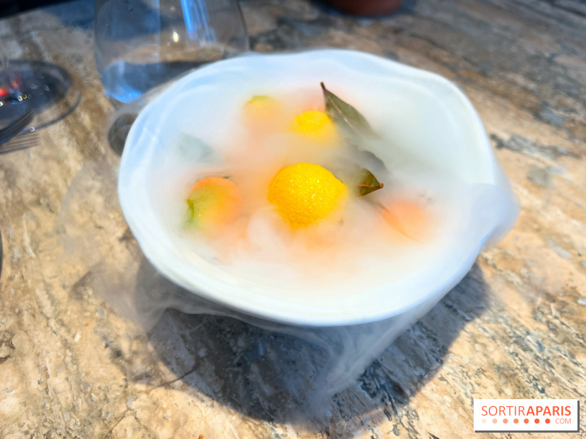 Restaurant Alan Geaam - Citron à l'azote