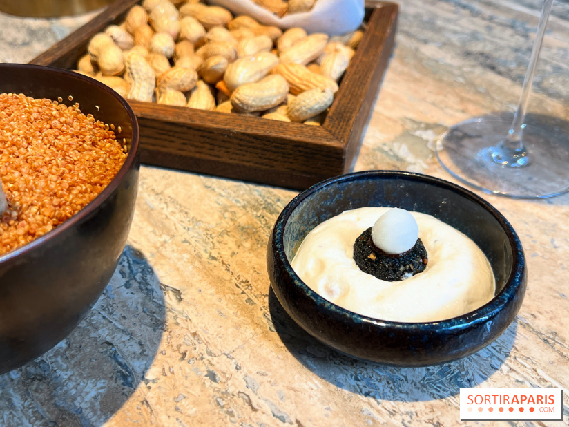 Restaurant Alan Geaam - Mini falafel, labhan, vierge de pois chiche, pickles radis