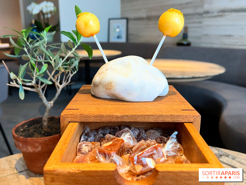 Restaurant Alan Geaam - Sucette de mouhalabieh, miel et pollen