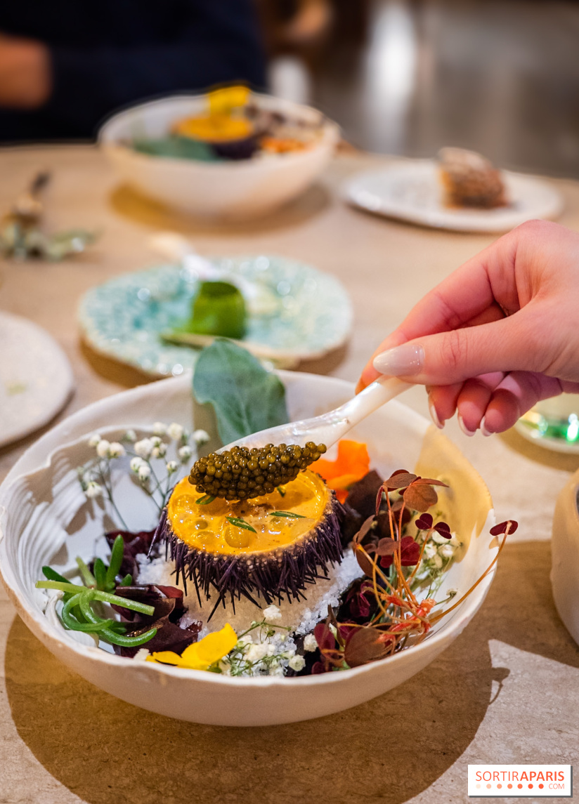 L'Orangerie, le restaurant 2 étoiles du George V - les photos  - A7C03607