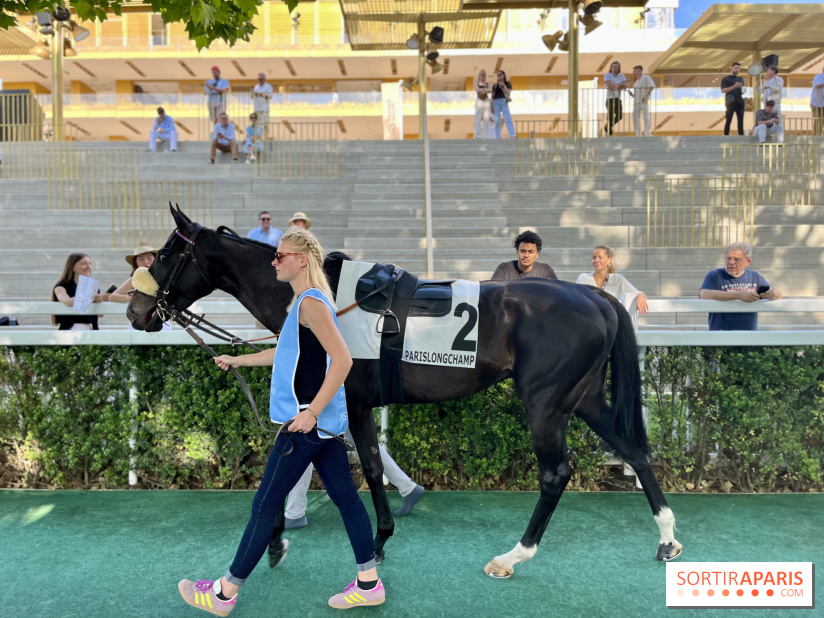 Jeuxdi by Longchamp