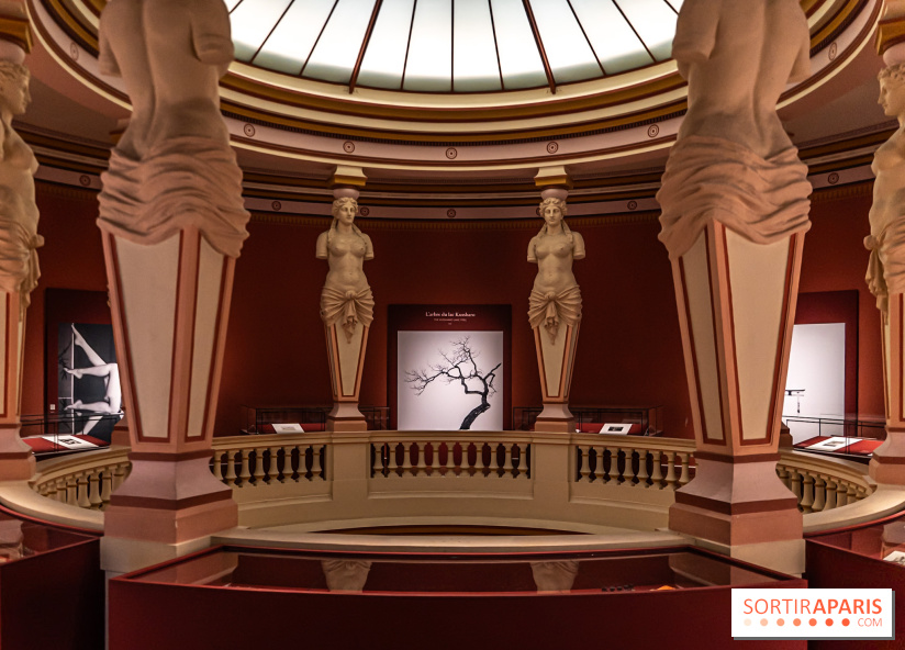 Han Rooftop, le rooftop du Musée Guimet en mode Coréenne - A7C02201