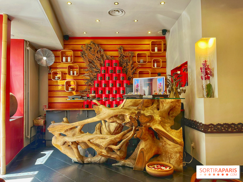 Arbre à sens - IMG 3067