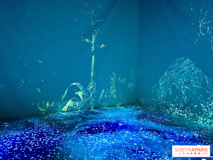 Topologie de l’Eau : Roches, Plantes et Vent - IMG 3240