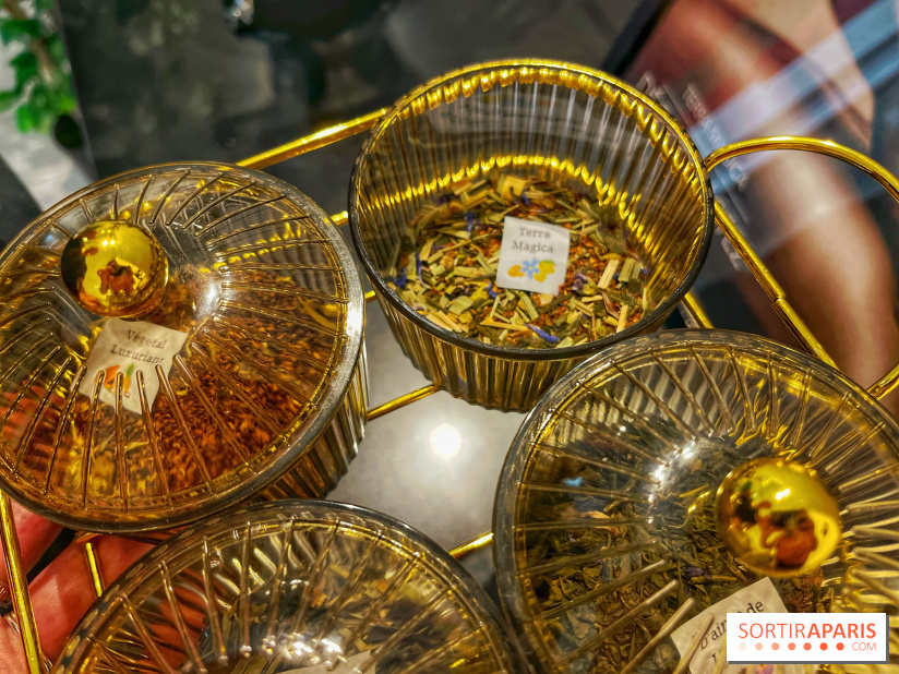 Hôtel et spa Belmont - IMG 3129