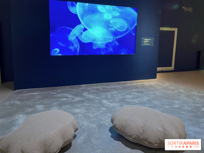 Transparence au Palais des enfants - nos photos - A9C8FEA1 98EA 4475 B97F A6EDF86F4C96