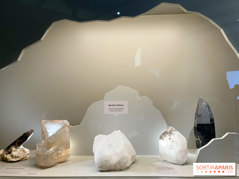 Transparence au Palais des enfants - nos photos - A6B826E2 B80F 4301 9DF2 02FE493C6560