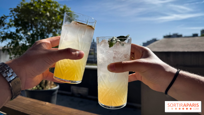 Rooftop Plantation Paris - IMG 7948 jpg